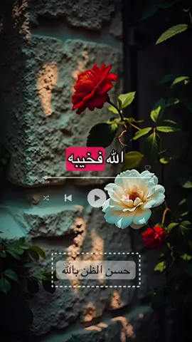 أرني من قصد الله فخيبه || الشيخ_#علي_القرني #حسن_الظن_بالله #مقاطع_دينية #prince_tensai #اسلاميات  @prince_tensai  @prince_tensai 