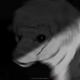 Main squad  #davidmccall #dextermorgan #brianmoser #joegoldberg #fyp 