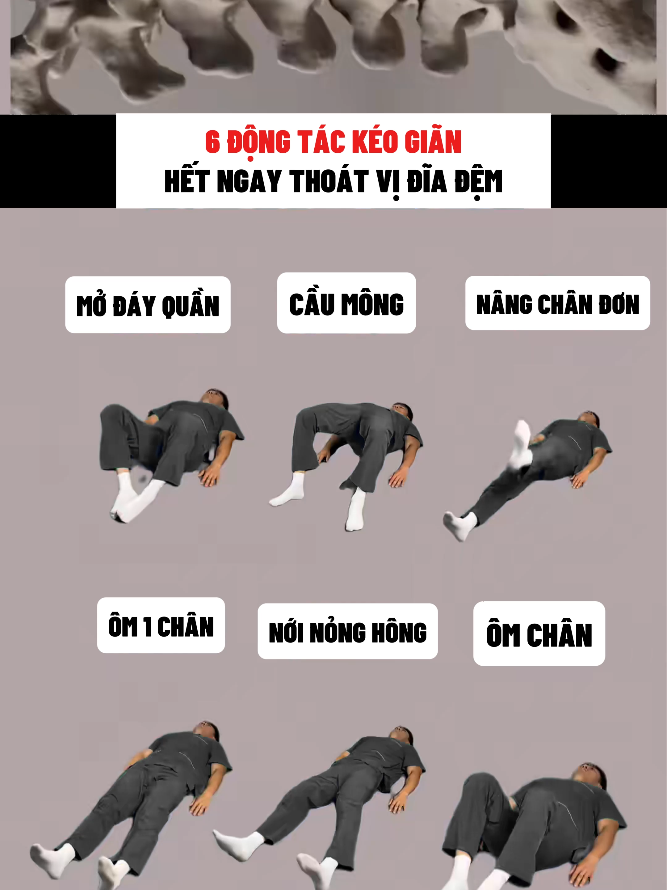 6 động tác kéo giãn hết ngay thoát vị đĩa đệm #lernontiktok #coxuongkhop #xuhuong #viral