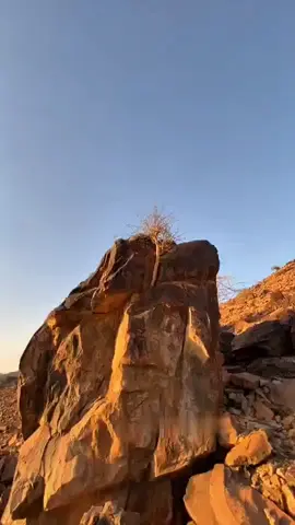 #قصيده #fyp #الاكسبلو 