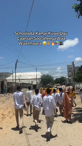 #shakuur12 #cameradasuuqbacaad #yaaqshiid #somalitiktok #ciyalxamar 