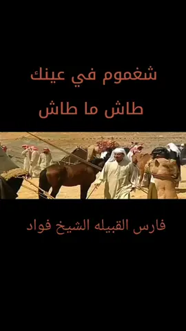 #طاش_ماطاش #شغموم #فارس_القبيله #الشيخ_فؤاد #عبدالله_السدحان #ناصرالقصبي #طاش_ماطاش 