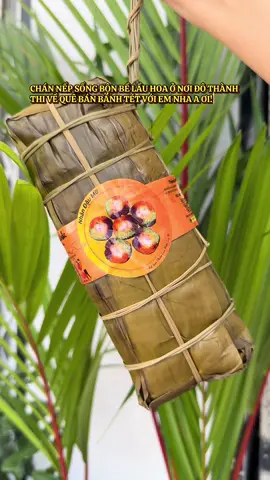AI BÁNH TÉT ĐẬU MỠ HÔN #banhtetngusacmientayne 