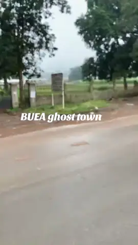 #fyppppppppppppppppppppppp #yaoundecameroun🇨🇲🇨🇲#buea  #teddybear #sabinus 