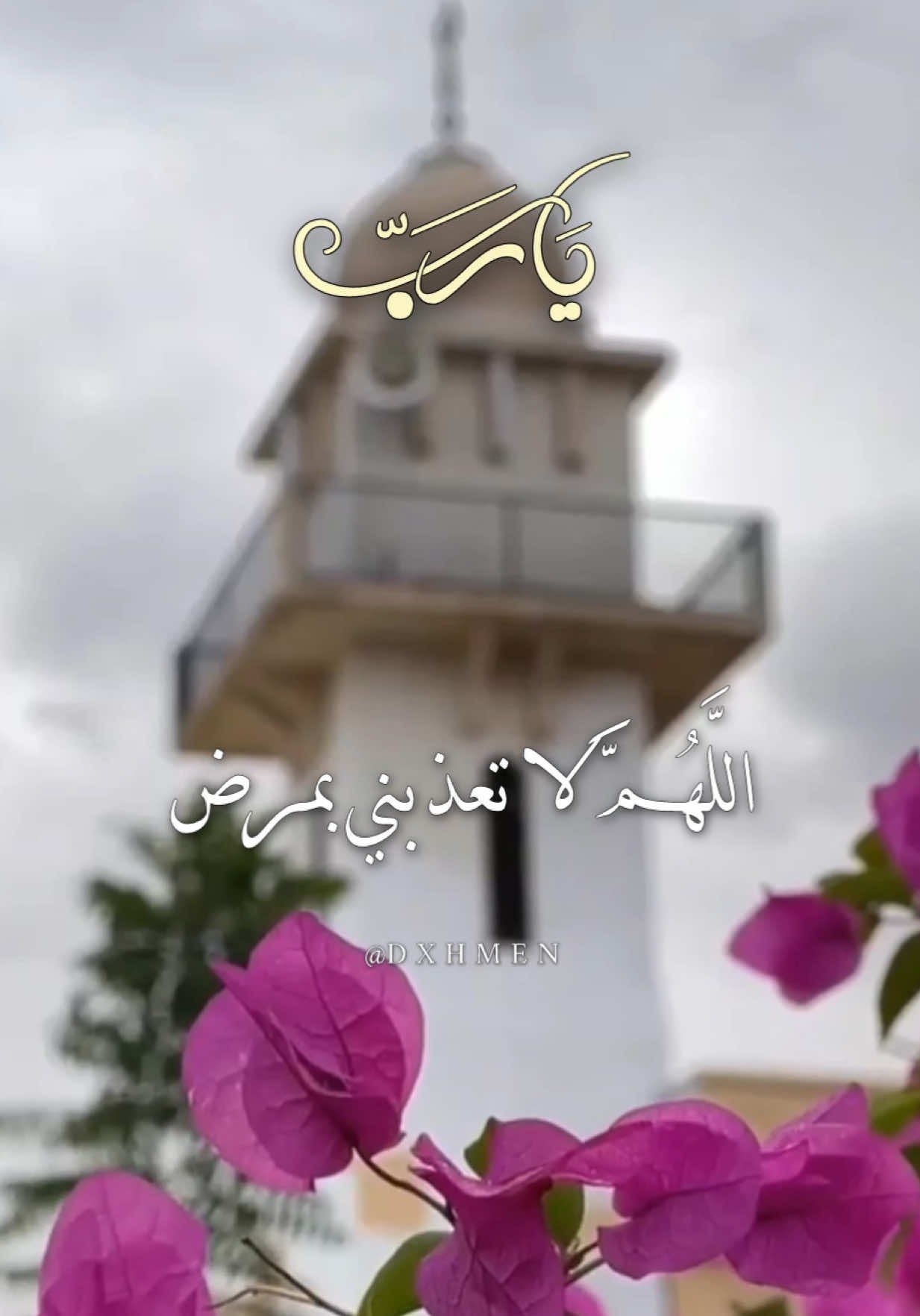 اللهم لاتعذبنا بمرض ولا تشقينا بولد يارب 🤲  #دعاء #اللهم_امين_يارب_العالمين #دعاء_جميل #يارب🤲 #يارب❤️ 