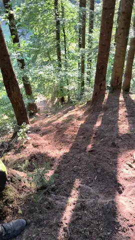 #renegade #fyp #1000 #offroad #viral_video 