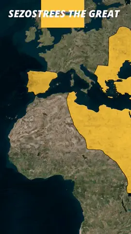 #creatorsearchinsights #foryou #foryoupage #viral #egypt 