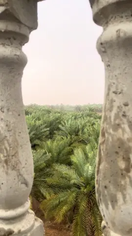 #وادي_الدواسر #اكسبلور #السعوديه 