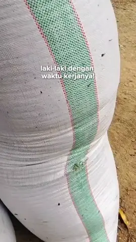 26 menyala#taksibalap🔥⚡ #wajoviral #indonesia #fyppppppppppppppppppppppp 