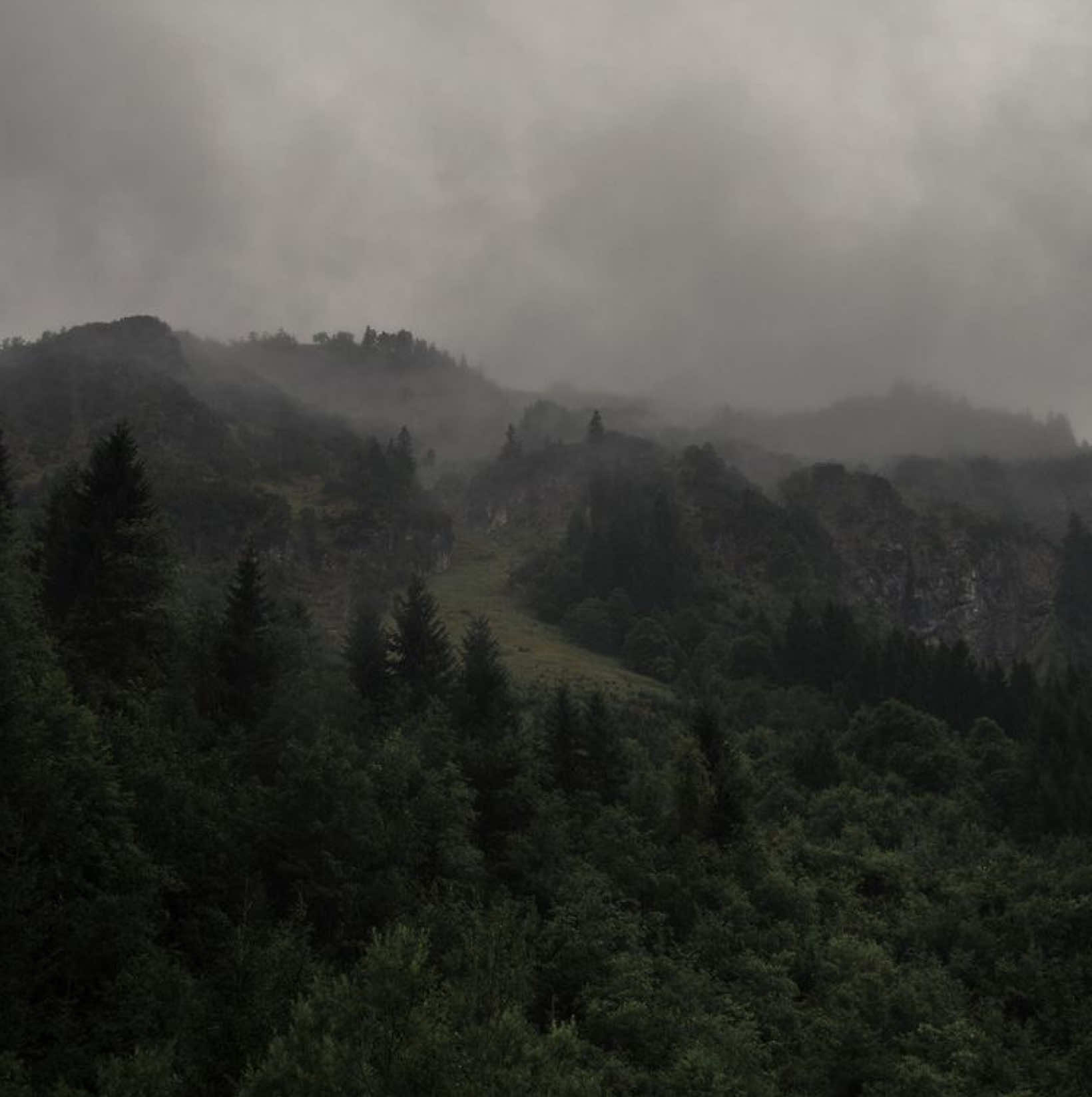 #rain #soul #peace #forest #foryou 