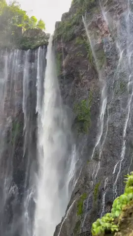 #easttraveltour #sewu #indonesia🇮🇩 