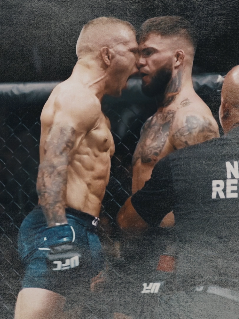 Tj Dillashaw 🐐 #UFC #tjdillashaw #fyp #foryou #viral 