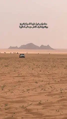 #رحل#جنوب#الوادي 