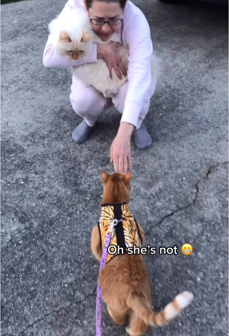 When your cat switches from angel to demon in 0.2s🐱🐱🤣🤣#funnycats #funnyanimals #petvideos #cat #catsoftiktok #fyp #usa #longervideos