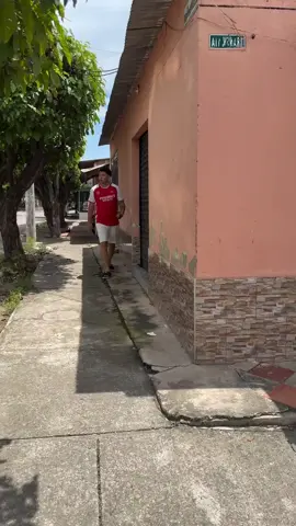 pelepah kelapa cobra 