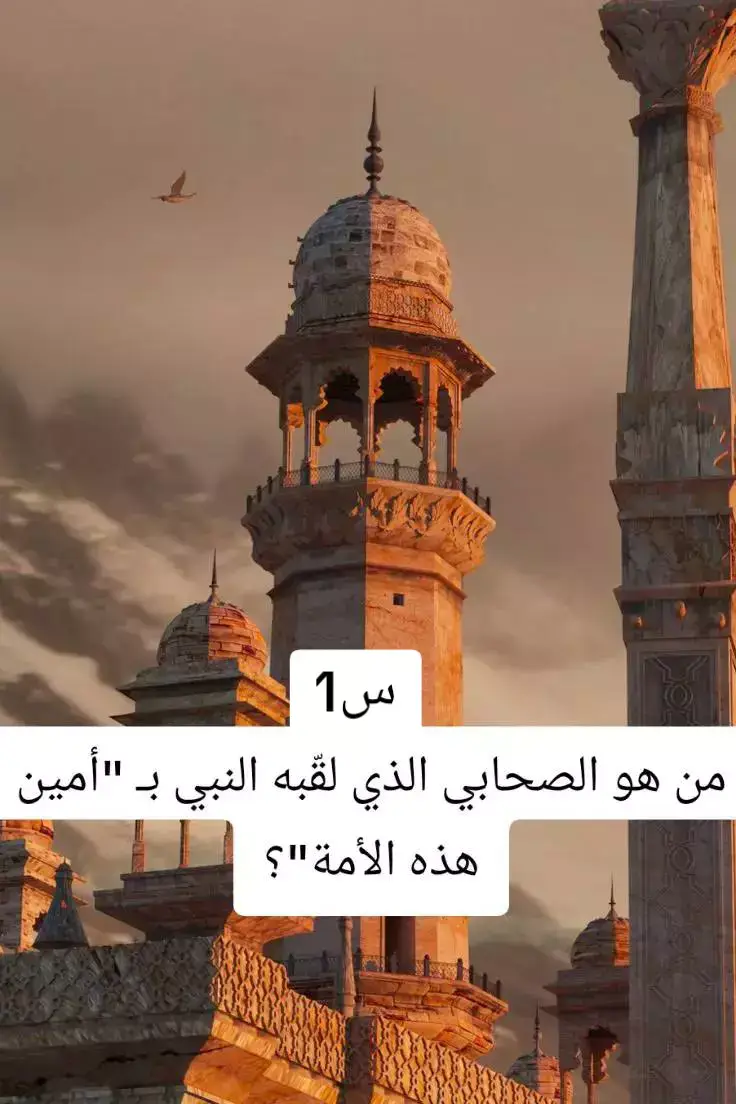 @رشيد Rachid ま #معلومات_دينية #الاسلام_ديننا_والجنه_طريقنا #عين_الدفلة_❤️❤️❤️❤️ #الجزائر #محتوى_ديني @🌸🐞𝗔𝘆𝗹𝗮•|• @ilyaskirad @Walid Walid @Mosstapha Mhb @Adel khouidmi @Fatimaezzahra Ezziany @مـــحــمـــد 😮‍💨💔 @بــࢪتـقــ🍊ــالـة٭𐙚. @زيـَنـَـۿۿ ¦°🎗💚