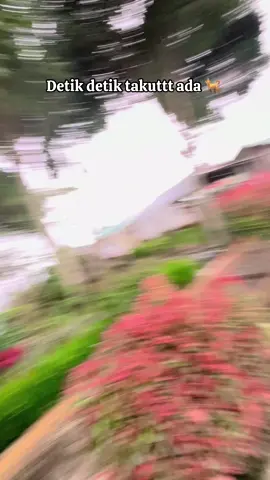 #pagaralam #prabumulih #sumsel #fyp #treveling 