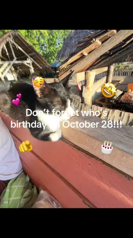 #fyp #birthday #october #28
