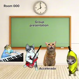 Accelerada edit #fyp #phonk #cat #fyppppppppppppppppppppppp @vincentnikke 