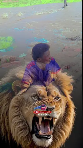#CapCut 