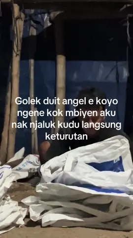 Telat pinter #peternakmuda #ayambroiler #motivasi #xybca 