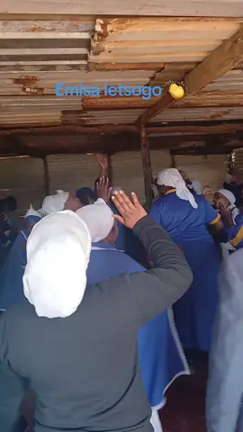 #Morians🤍💛💙 