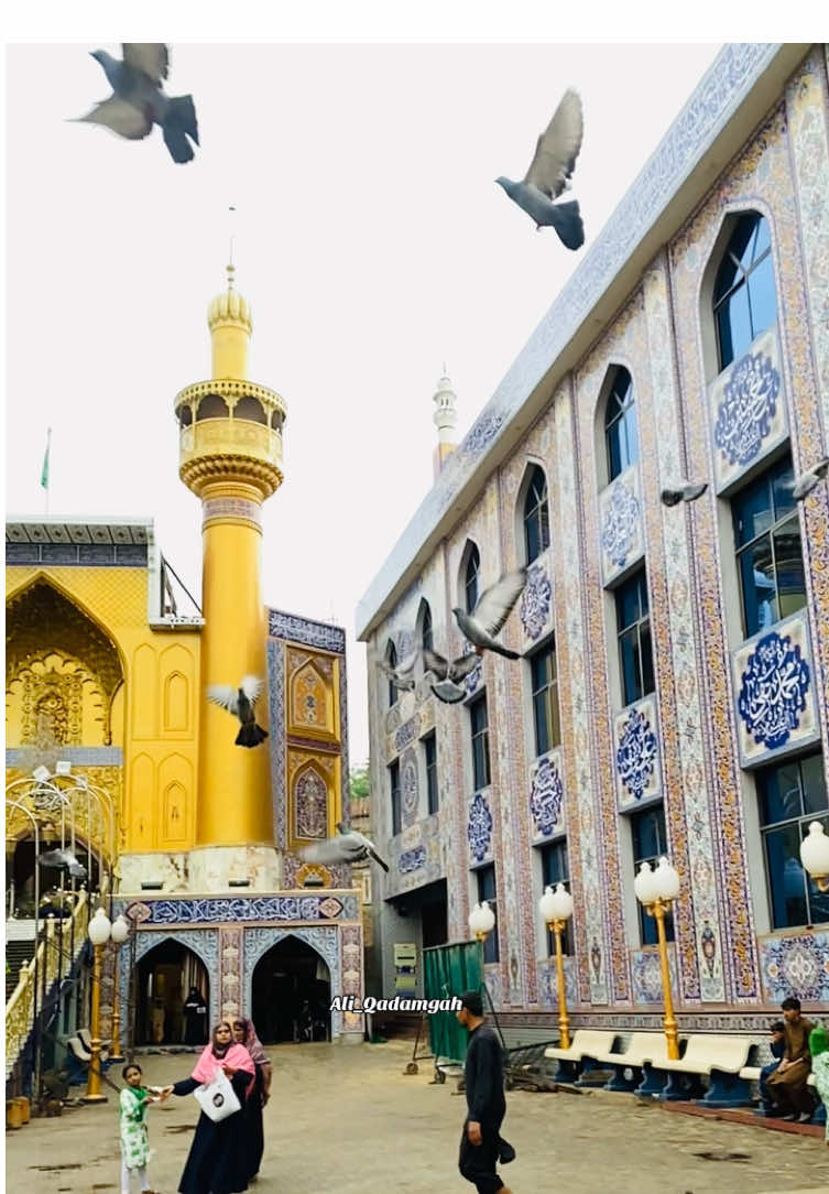 #khubsurat_manzar❤😍 #aliqadamgahofficial♥️ #qadamgahmolaaliع♥️😘 #tiktokviral #foryou 