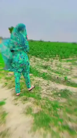 #sanghar_public #newtrend #fallowme👈 #sindhigirl❤️ #viraltiktok 