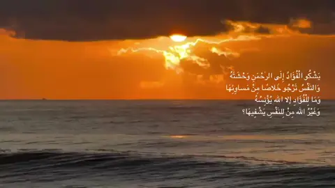 #فيديوهات_دينية #محتوى_ديني #اجر #foryou #fyp 