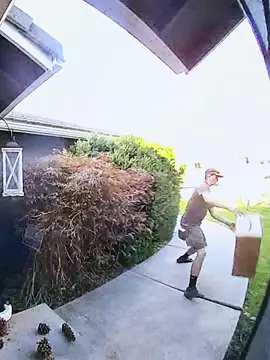 Doorbell Cams Never Miss 😂#funny #postman #dog #viral 