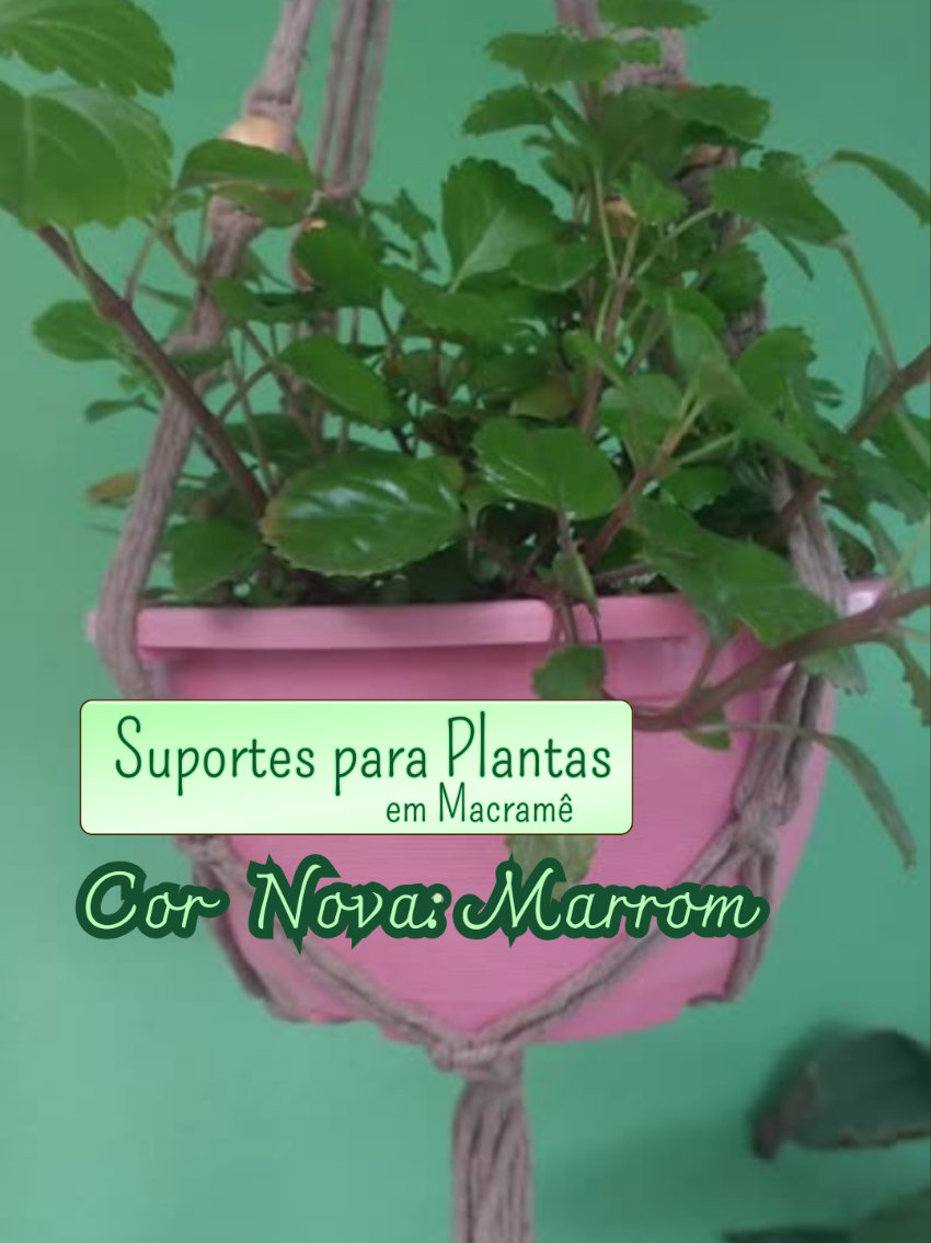 Delicadeza que transforma. 🌸🌱 Apresentamos nosso suporte de plantas em macramê, com barbante de 24 fios de algodão e o toque único das miçangas. Uma peça artesanal que celebra a beleza da sua planta e a sutileza dos detalhes. ✨ Perfeito para criar um cantinho aconchegante e cheio de charme. 💖 #CBmacrameDesign #ArtStylesuportesplantas #CSsuportesComArte #Macrame  #FeitoAMao 