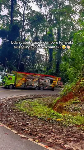 Bangke😂😂#storytruck #lintassulawesi #hino #euro4 #boskecil_squad #boskecilfamily #otosulawesi #fyp #bugistiktok #darabugis 