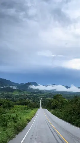 ถนนหมายเลข 2399 สวยมากจริง ๆ #ถนนลอยฟ้าท่าลี่ภูเรือ #ถนนลอยฟ้า #ท่าลี่ #ขี่มอเตอร์ไซค์เที่ยว #เที่ยวธรรมชาติ 