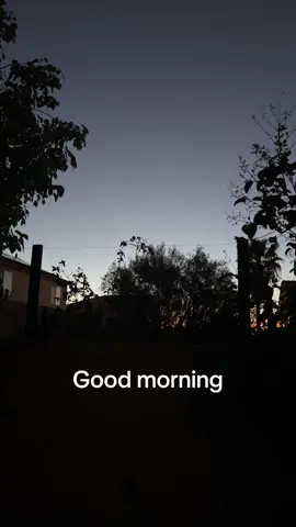 Is there anything better? 💜💜 What’s your favorite Ali Hazelwood?📚📚📚 #BookTok #bookstagram #romance #books #alihazelwood 