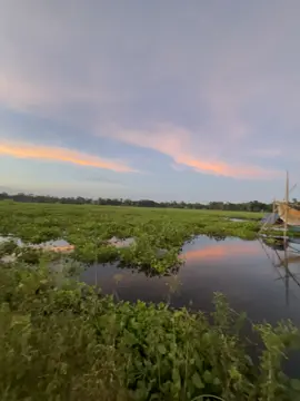 #โลโซเอฟซี🥰😎🤘🤘❤️🎵🎵❤️🎸  