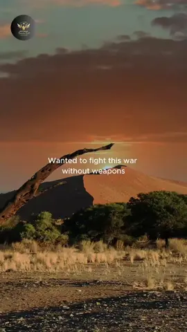Elastic heart#sia #elasticheart #song #songs #lyrics_songs 