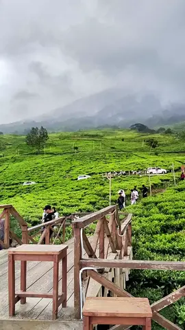 Asal kakak setia , adek jugo setia😚 #pagaralam #bukittungguan #fyppppppppppppppppppppppp #wisatapagaralam 