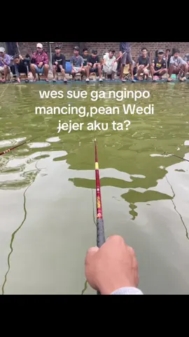 Guyon lo😭#rilisanlelejawatimur#rilislelemalang#kpsumberbimafishing#fyp 