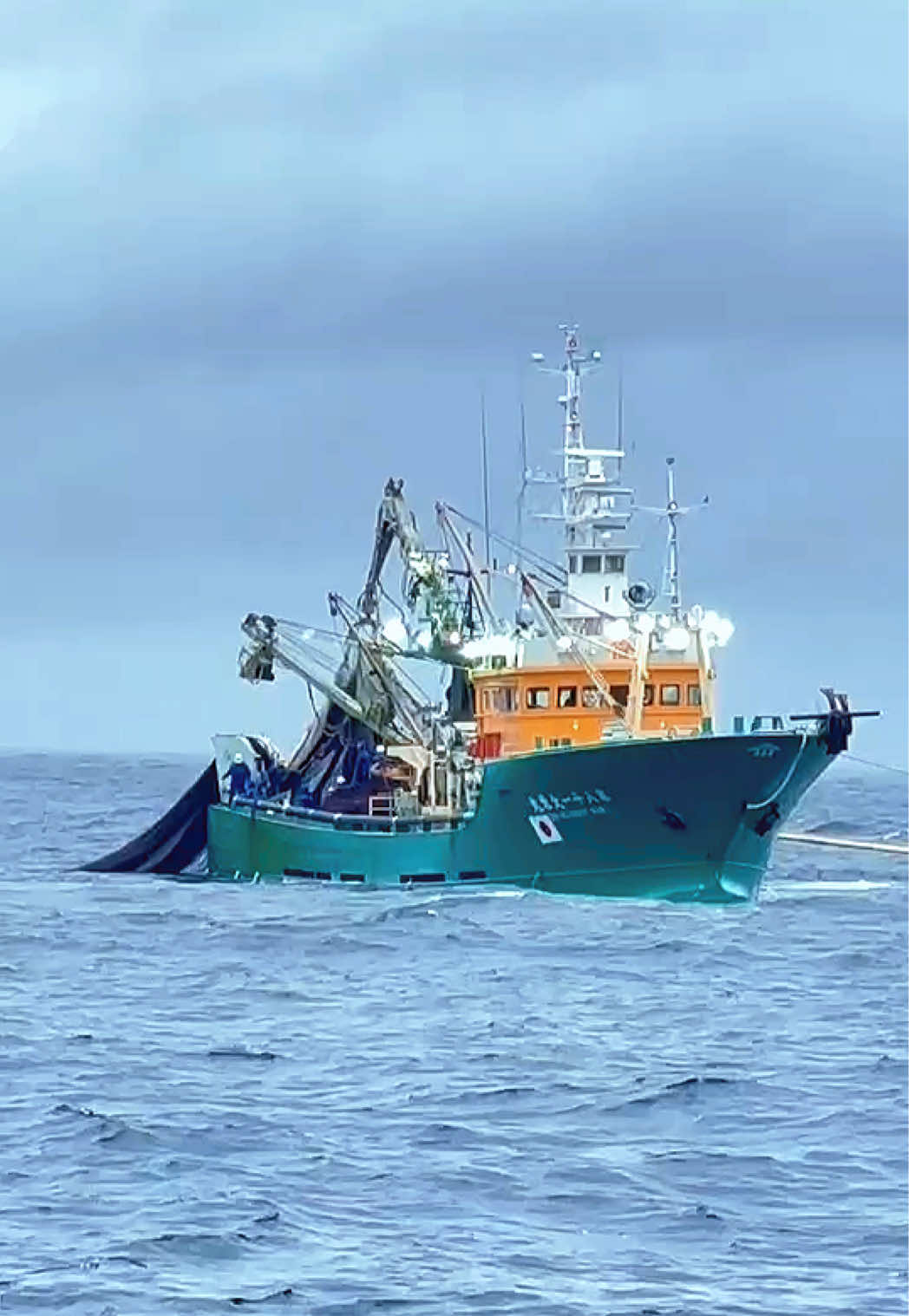 Gambaran kerja kapal makiami/purse saine japan🇯🇵#gruptachiuraindonesia #masukberanda #kenshuseijapan🇮🇩🇯🇵🎌 #tokuteginou🇲🇨🇯🇵 #4u #daieimaru 