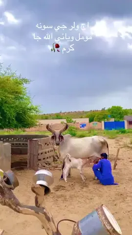 @𝑺𝒉𝒂𝒃𝒆𝒆𝒓 𝑩𝒂𝒋𝒆𝒆𝒓 💙 