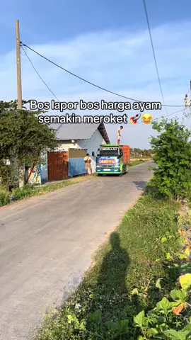🤦‍♂️#ayambroiler #peternakmuda #abk #ayambroilerindonesia #ayampotong 