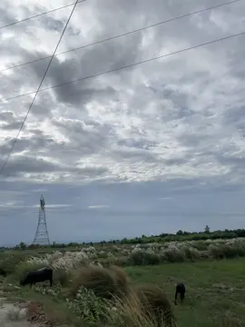 Toosan ghad jan jooon hasratiyoun rahandiyoun❤️❤️‍🩹