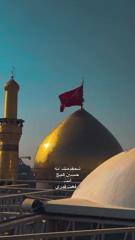 اللهُم صلِ على مُحمد والـِ مُحمد🤎. ـ ـ ـ #اللهم_صلي_على_نبينا_محمد  #اللهم_عجل_لولیک_الفرج َ َ . . . #foryoupage #viral #fyp 