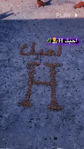 #الشعب_الصيني_ماله_حل😂😂 #طاقي_حبيبك👑🖇_حبيبتك💭🥀 