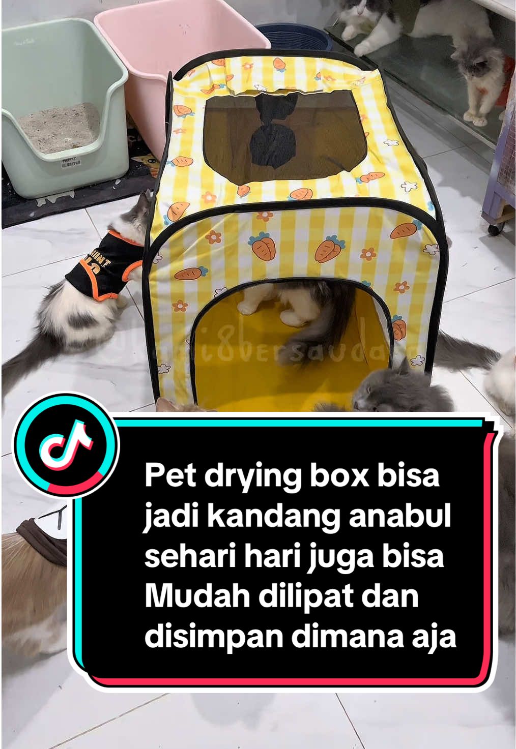 Kandang ini miltifungsi banget bisa jadi kotak pengering, kandang untuk tidur atau kandang untuk brjemur dipagi hari #kandanglipat #kandanglipatportable #petdryingbox 
