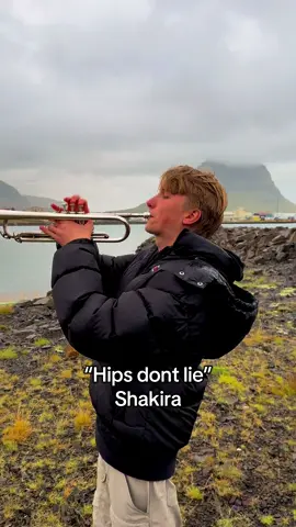 Replying to @Astral💫 No fighting #shakira #viral #music #trumpet #producertok 