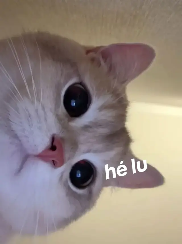 nhắc nhẹ 🥰#meme #ti̇ktok #xuhuong #meovotrii #cutebaby 