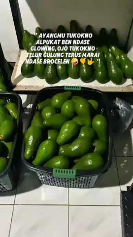 hmmm telur gulung neh🥱 #avocado #fyp #sorotan #jangkauanluas #sinarjayatanimagelang 