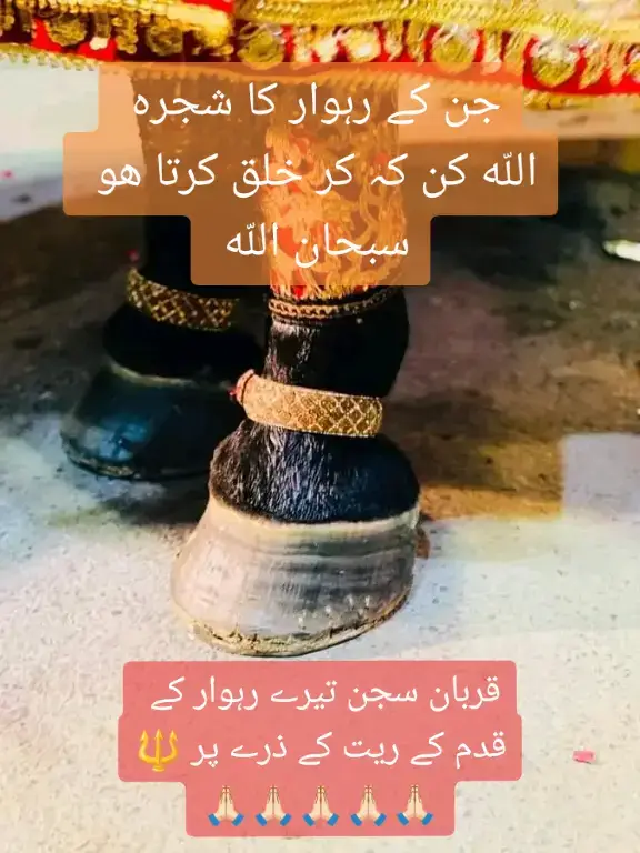 القرآن ۔ اور ہم نے کچھ ایسے گھوڑے خچر اور گدھے خلق کے جنکا علم کسی کو بھی نہیں 🔱🔱🔱🔱🔱🔱🔱🔱🔱🔱🔱🔱🔱🔱🔱🔱🔱🔱🔱🔱🔱🔱🔱🔱🔱