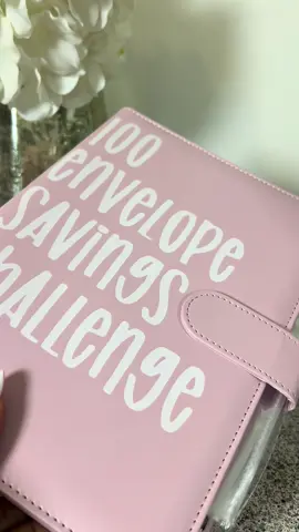 This savings challenge binder is s great way to set a financial goal and stick to it. #savingschallenge #savingmoney #savemoney #tiktokshop 